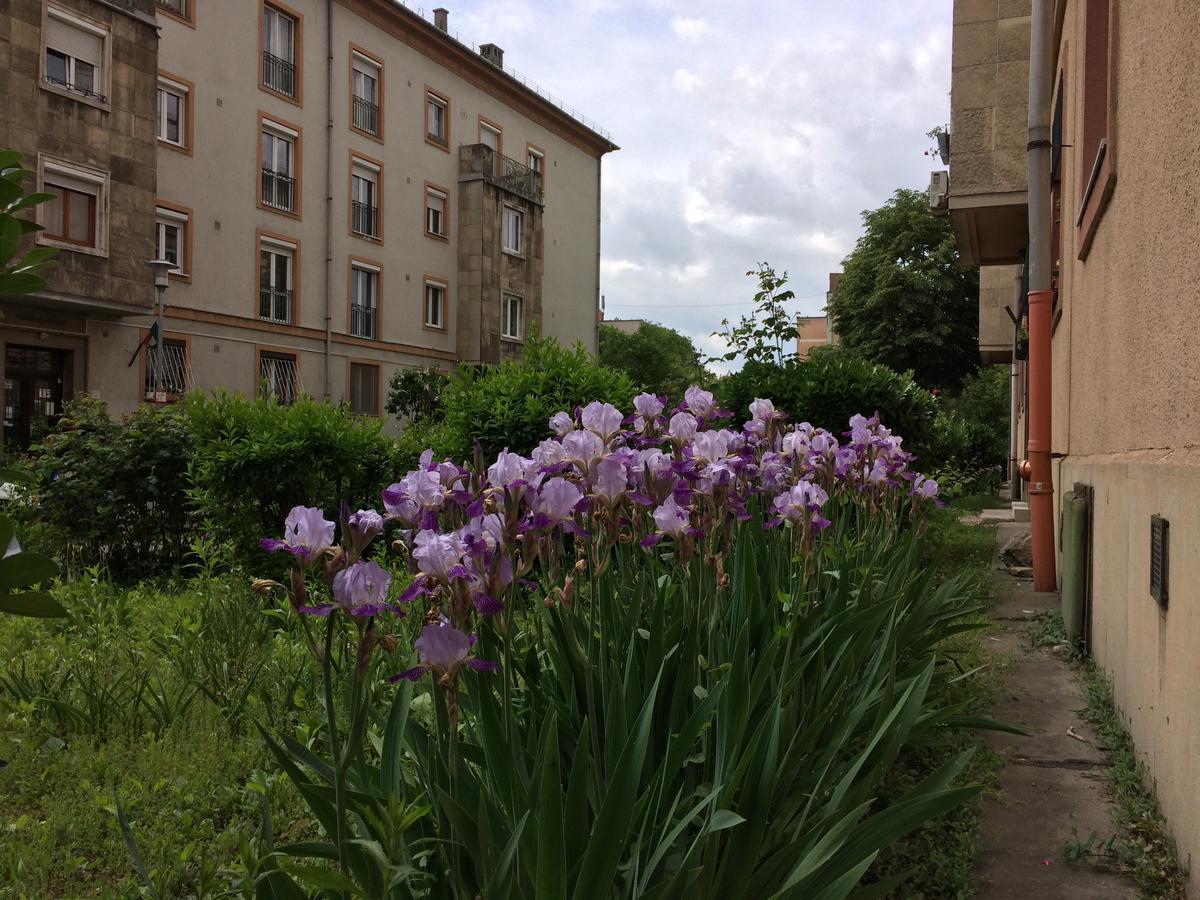 Irisz Apartman Budapest Eksteriør billede